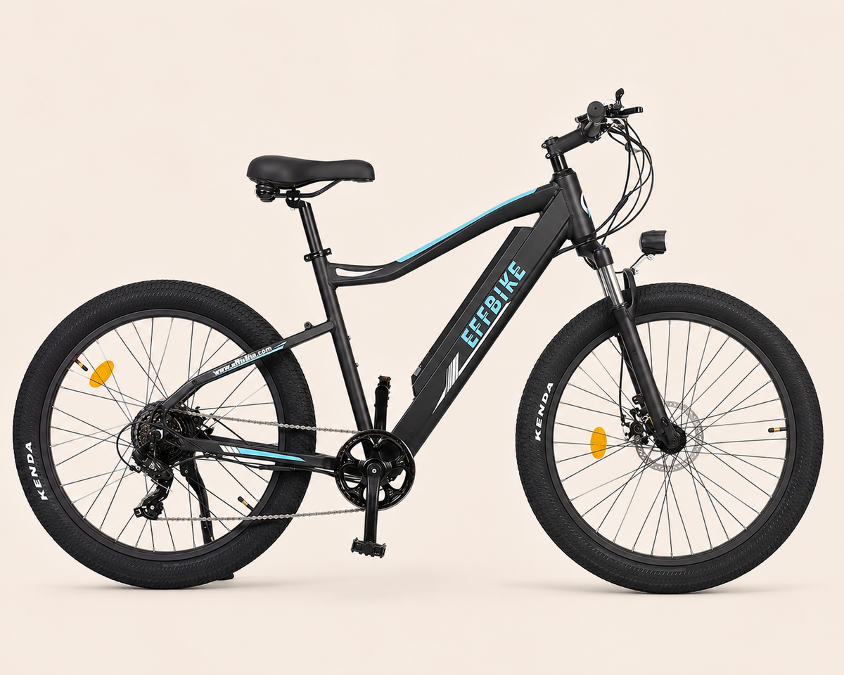 Allegro City Cruiser 350W