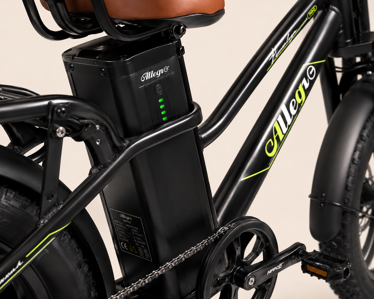 Allegro Star Power 750W