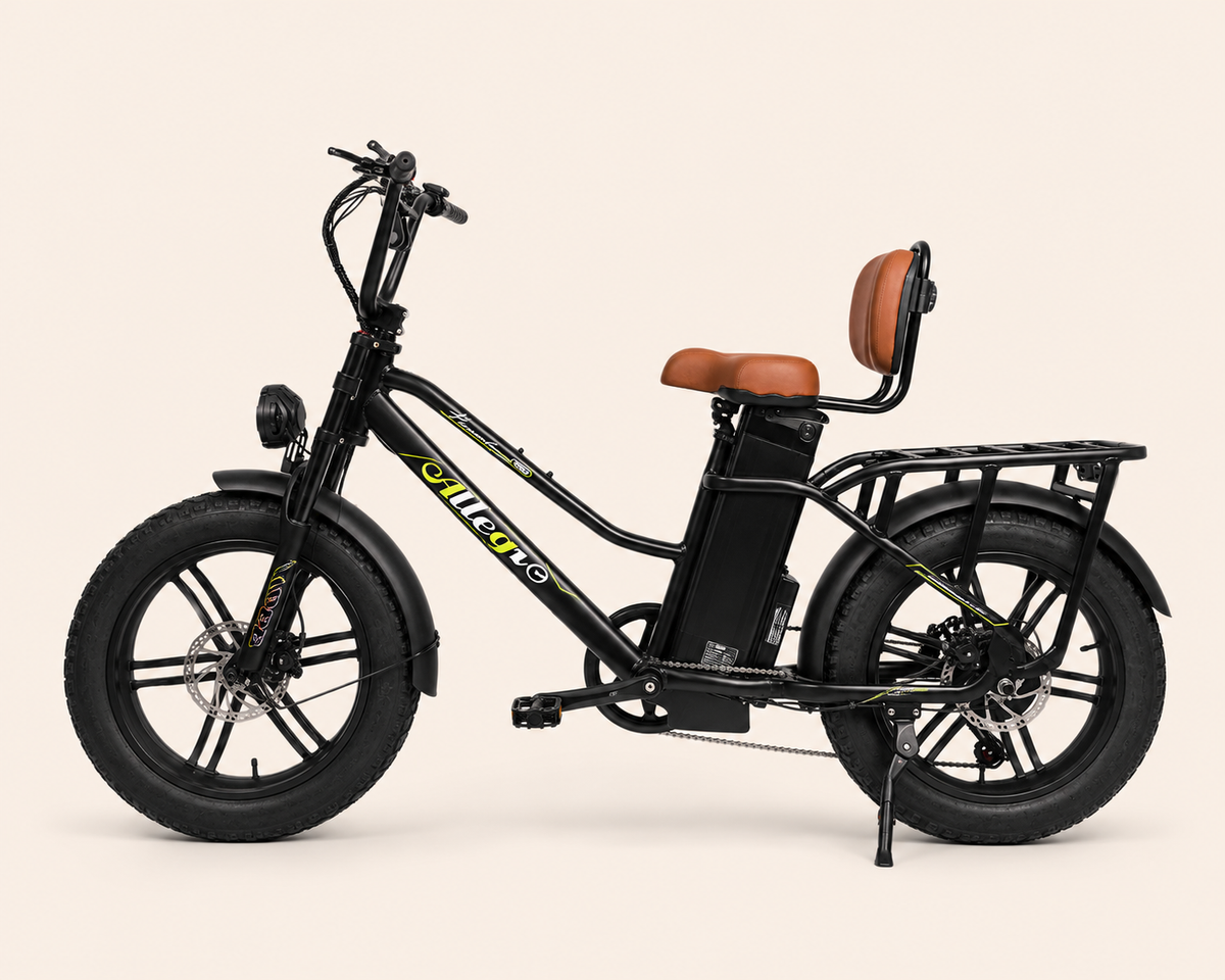 Allegro Star Power 750W