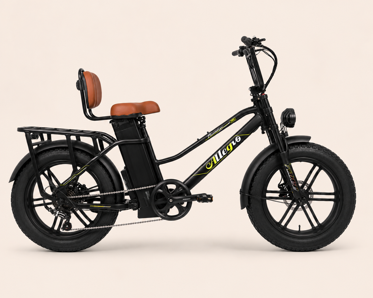 Allegro Star Power 750W
