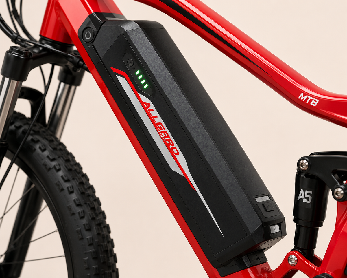 Allegro MTB 1000W