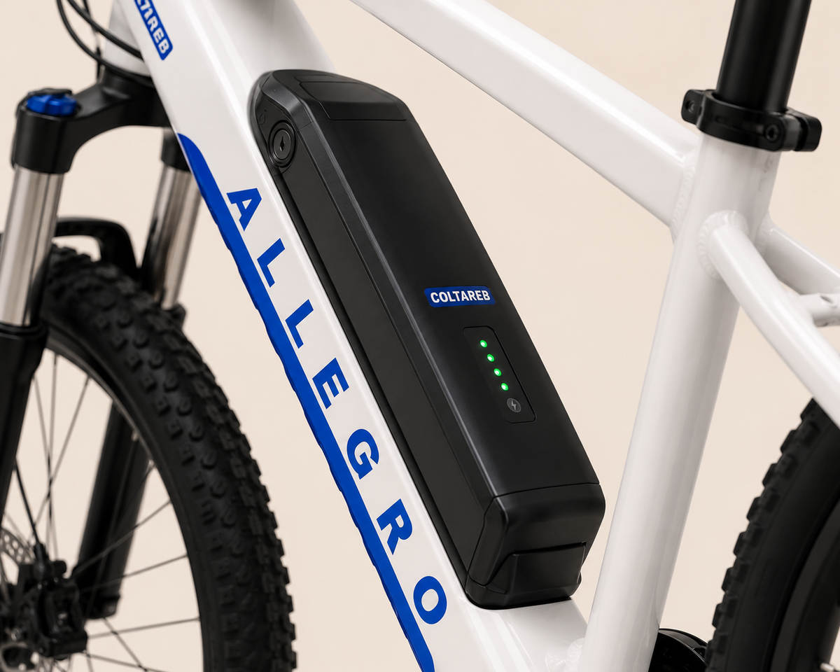 Allegro City Cruiser 750W