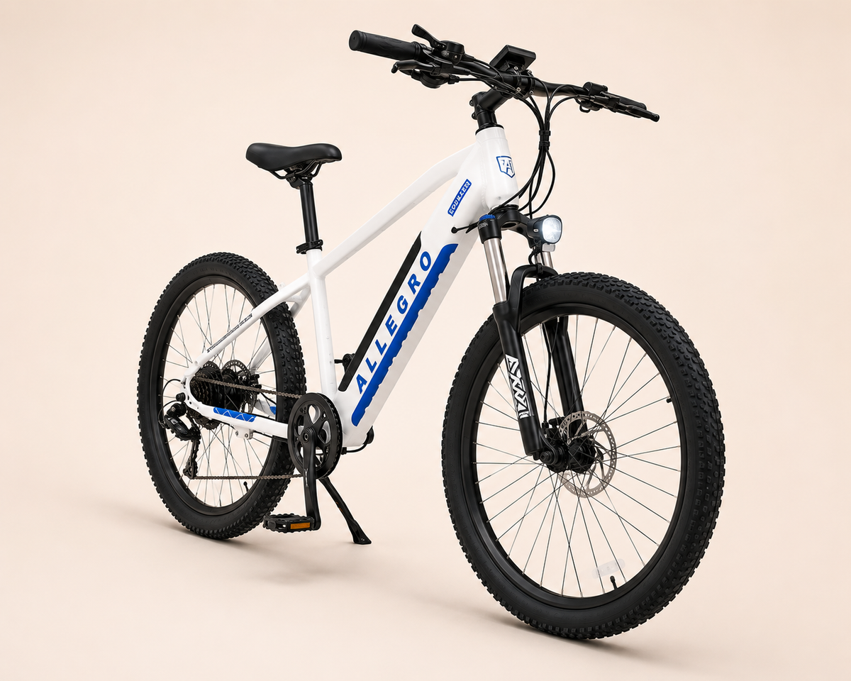 Allegro City Cruiser 750W