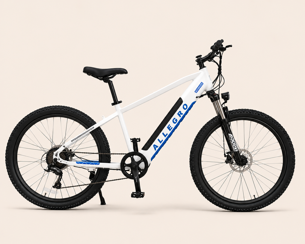 Allegro City Cruiser 750W