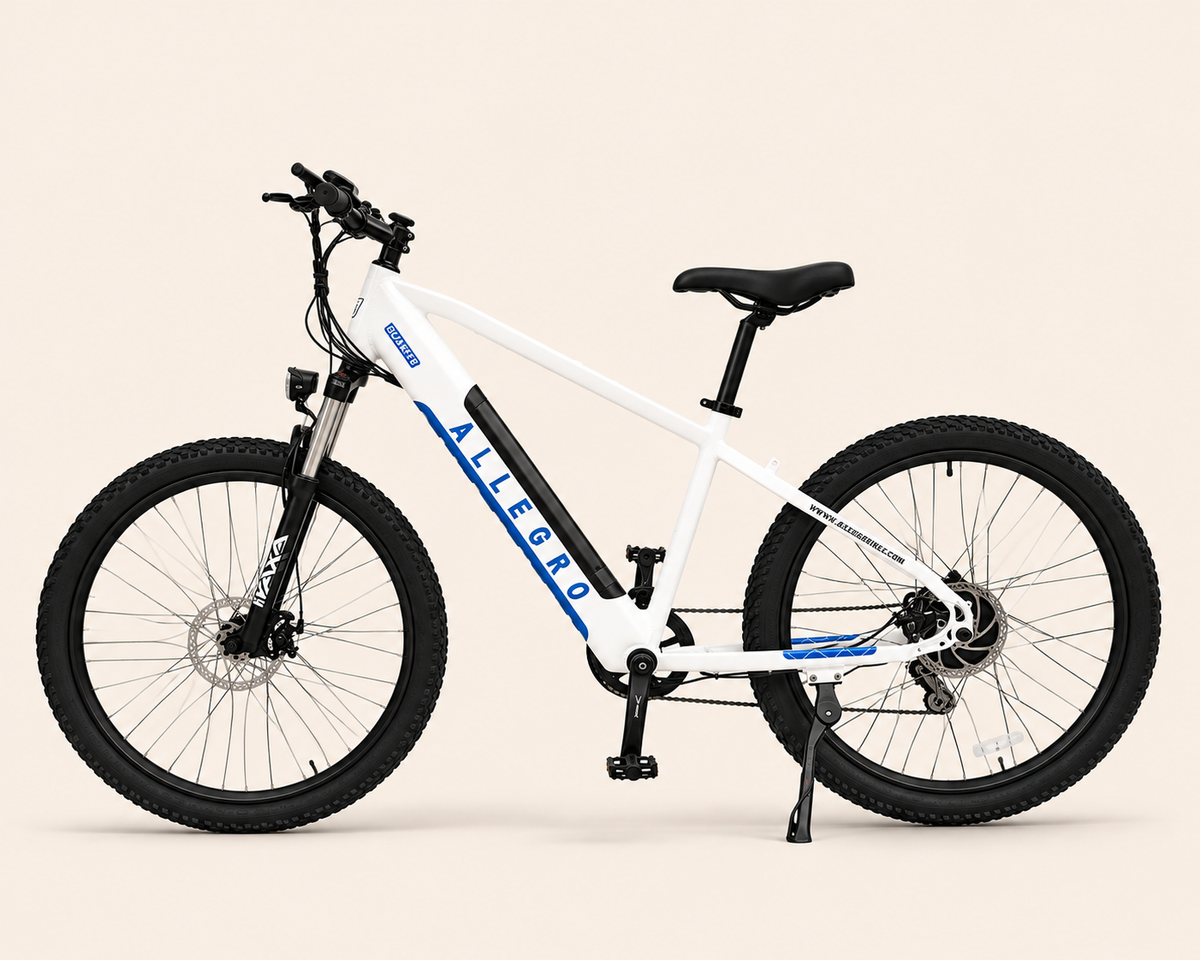 Allegro City Cruiser 750W