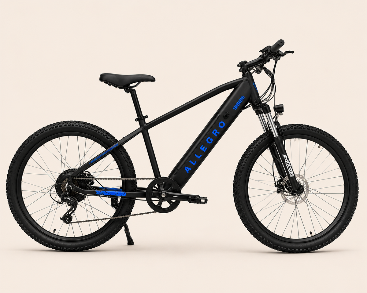 Allegro City Cruiser 750W
